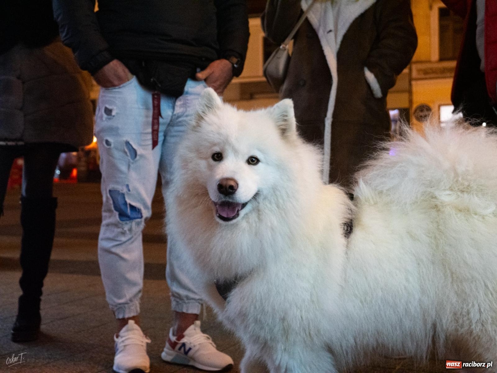 Zdjęcie w galerii na portalu naszraciborz.pl: Jarmark u św. Antoniczka przyciągnął tłumy [FOTO] wiadomości z regionu