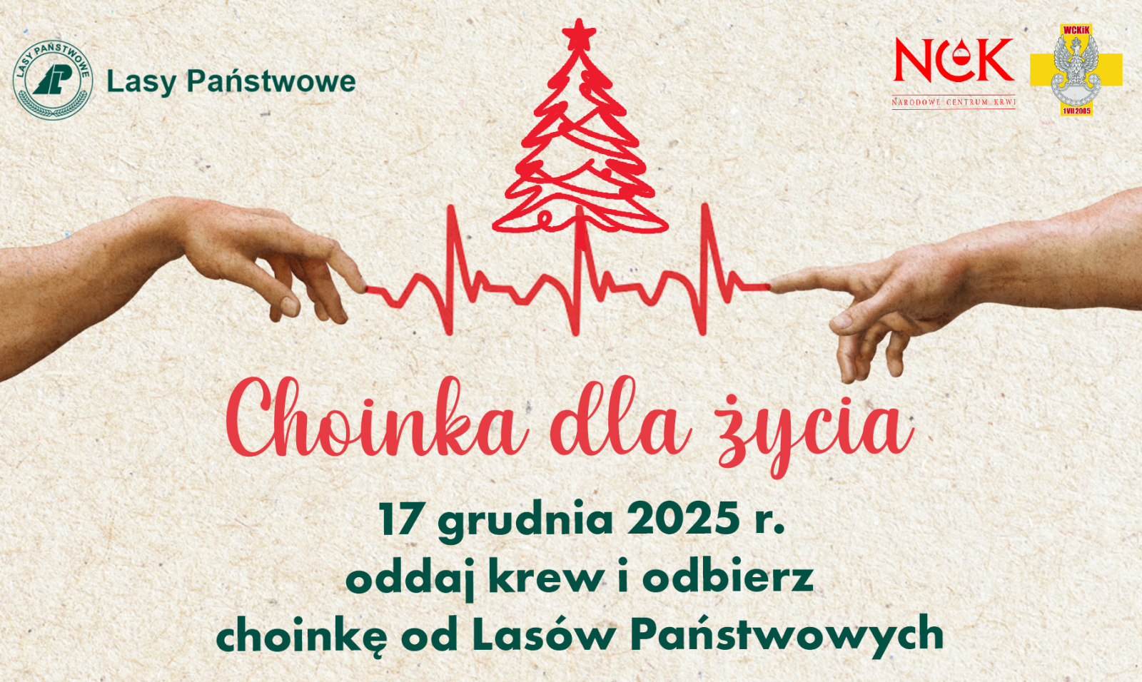 Zdjęcie w galerii na portalu naszraciborz.pl: Choinka dla życia: podaruj krew, odbierz świąteczne drzewko, także w Raciborzu wiadomości z regionu