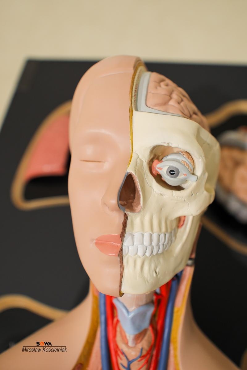 Zdjęcie w galerii na portalu naszraciborz.pl: Nowe stanowiska w Strefie Odkrywania Wyobraźni i Aktywności w Raciborzu wiadomości z regionu