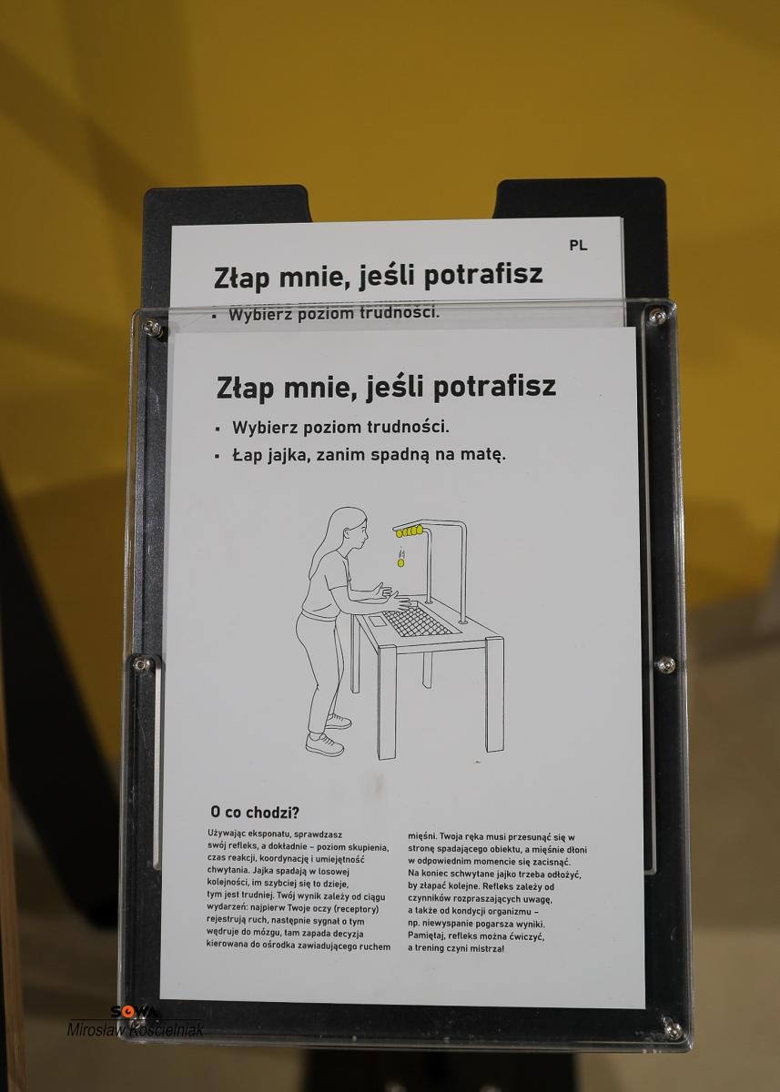 Zdjęcie w galerii na portalu naszraciborz.pl: Nowe stanowiska w Strefie Odkrywania Wyobraźni i Aktywności w Raciborzu wiadomości z regionu