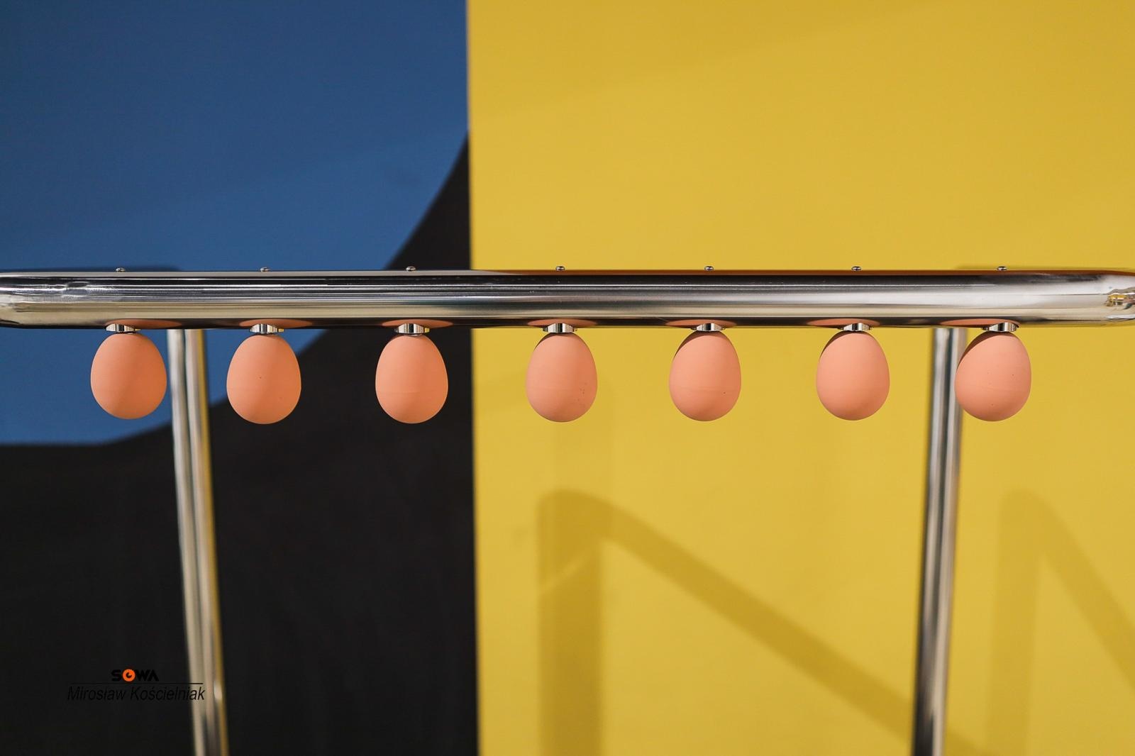 Zdjęcie w galerii na portalu naszraciborz.pl: Nowe stanowiska w Strefie Odkrywania Wyobraźni i Aktywności w Raciborzu wiadomości z regionu