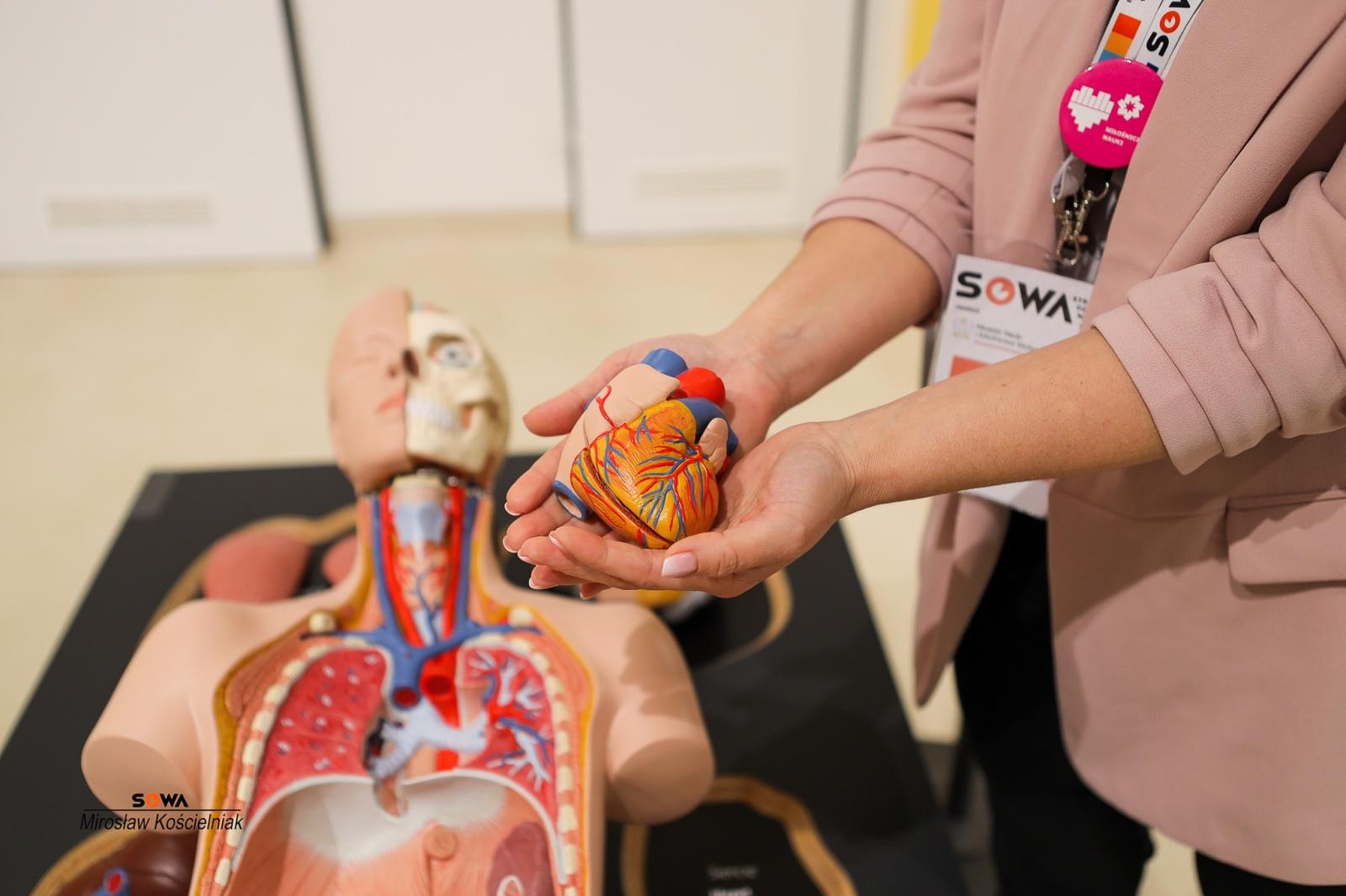 Zdjęcie w galerii na portalu naszraciborz.pl: Nowe stanowiska w Strefie Odkrywania Wyobraźni i Aktywności w Raciborzu wiadomości z regionu