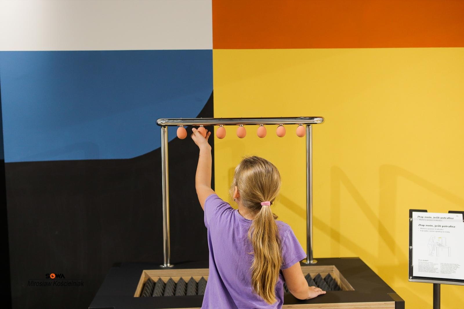 Zdjęcie w galerii na portalu naszraciborz.pl: Nowe stanowiska w Strefie Odkrywania Wyobraźni i Aktywności w Raciborzu wiadomości z regionu