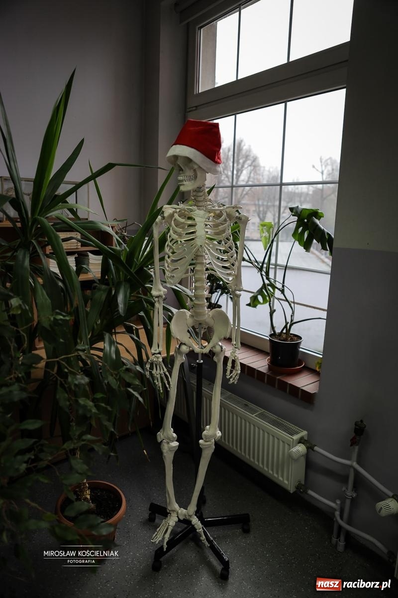 Zdjęcie w galerii na portalu naszraciborz.pl: Jesteśmy z Kasprowicza. Jubileusz 80-lecia I Liceum Ogólnokształcącego w Raciborzu na bis! [FOTO i WIDEO] wiadomości z regionu