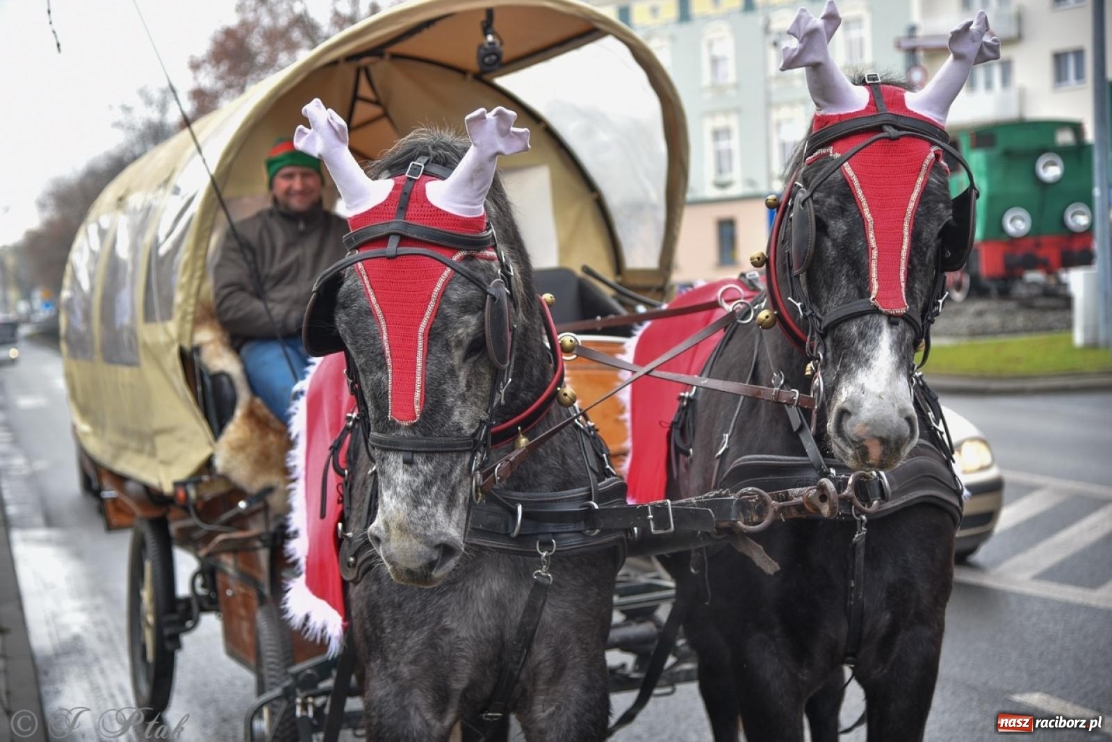 Zdjęcie w galerii na portalu naszraciborz.pl: Bajkowy Zamek Piastowski gościł Pociąg Świątecznych Marzeń [FOTO i WIDEO] wiadomości z regionu