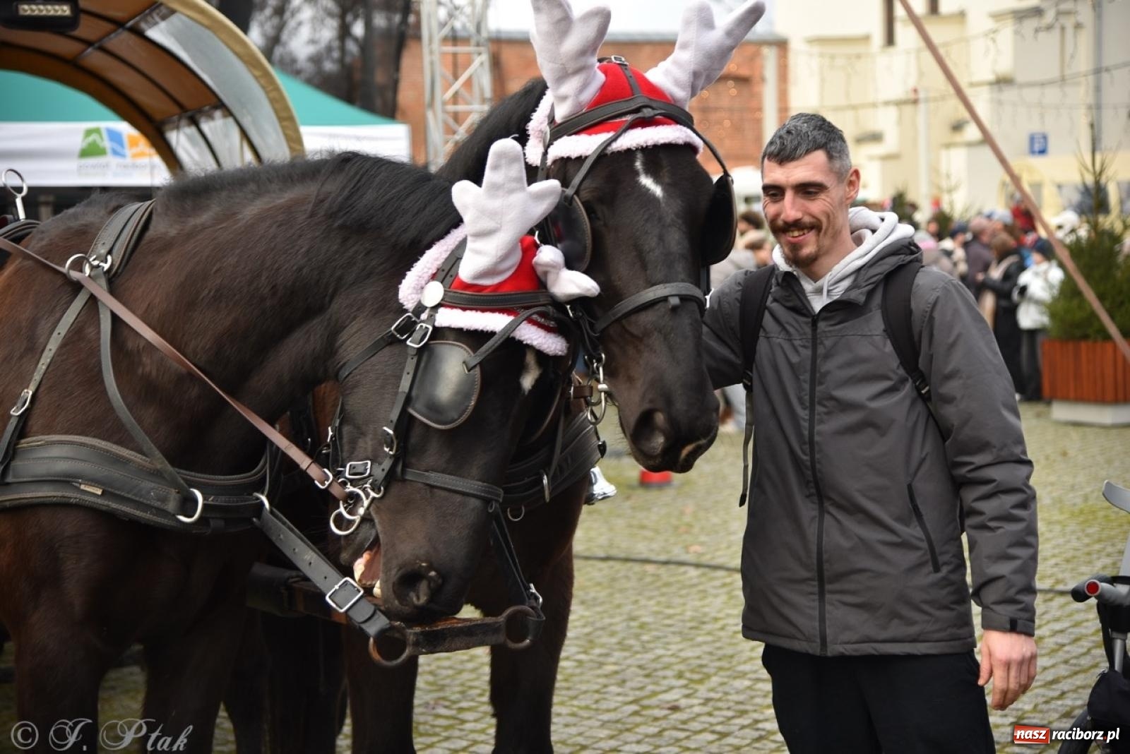 Zdjęcie w galerii na portalu naszraciborz.pl: Bajkowy Zamek Piastowski gościł Pociąg Świątecznych Marzeń [FOTO i WIDEO] wiadomości z regionu