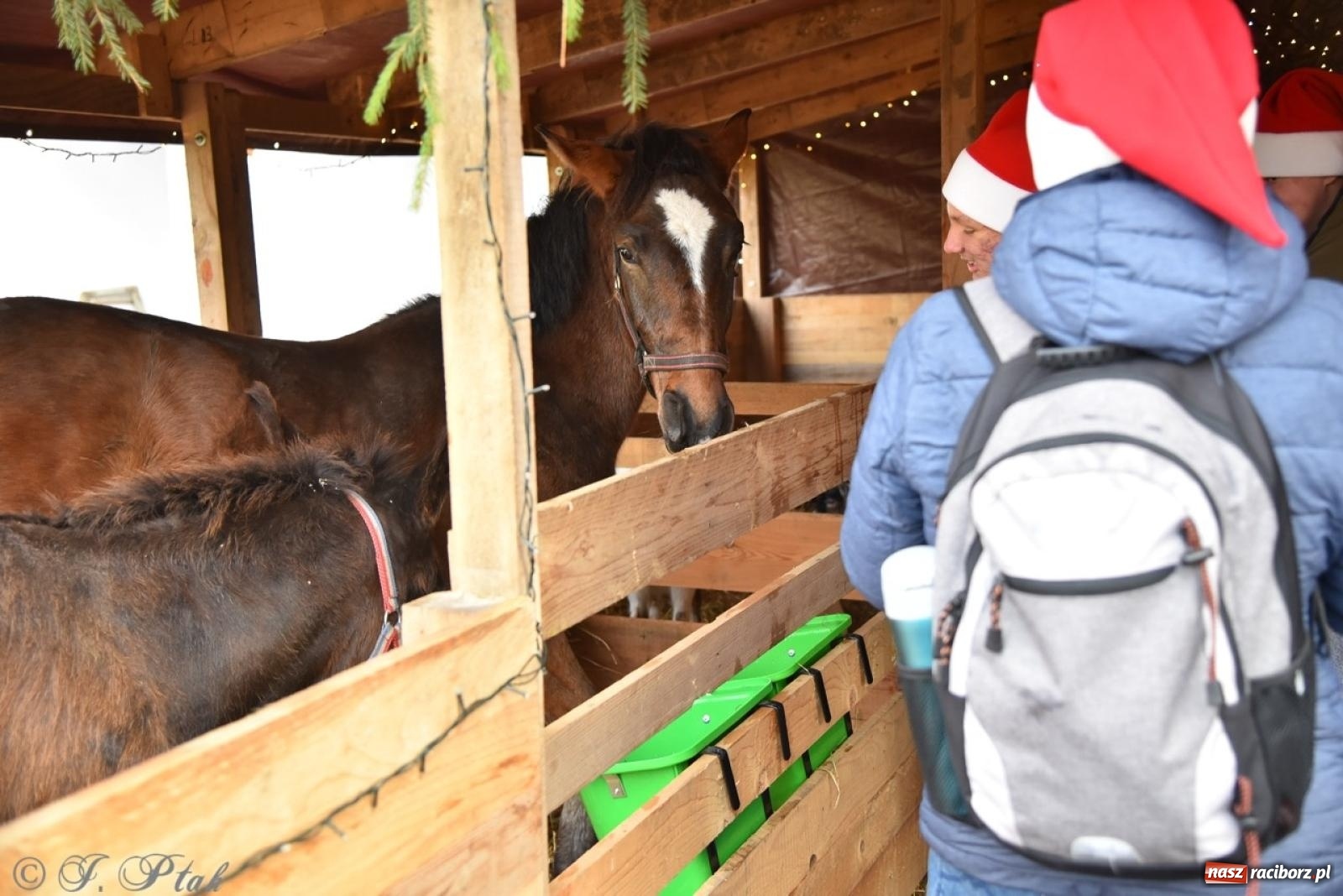 Zdjęcie w galerii na portalu naszraciborz.pl: Bajkowy Zamek Piastowski gościł Pociąg Świątecznych Marzeń [FOTO i WIDEO] wiadomości z regionu