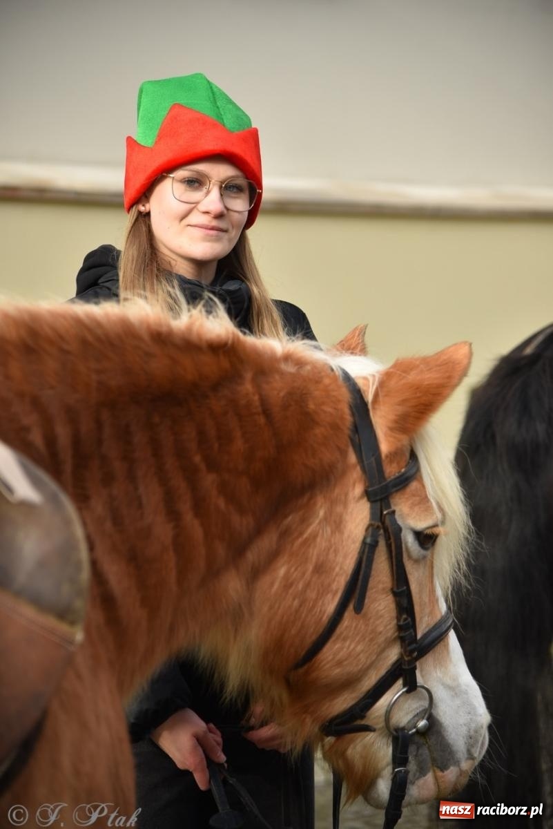 Zdjęcie w galerii na portalu naszraciborz.pl: Bajkowy Zamek Piastowski gościł Pociąg Świątecznych Marzeń [FOTO i WIDEO] wiadomości z regionu