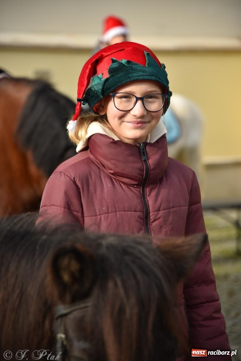 Zdjęcie w galerii na portalu naszraciborz.pl: Bajkowy Zamek Piastowski gościł Pociąg Świątecznych Marzeń [FOTO i WIDEO] wiadomości z regionu