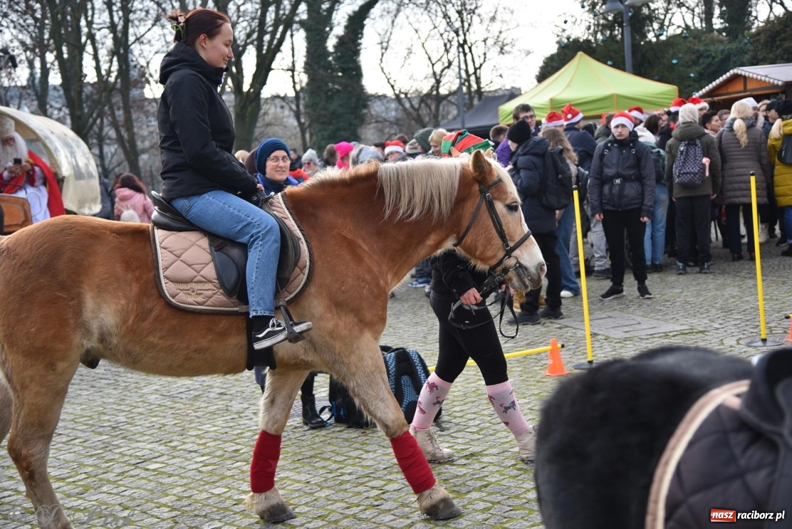 Zdjęcie w galerii na portalu naszraciborz.pl: Bajkowy Zamek Piastowski gościł Pociąg Świątecznych Marzeń [FOTO i WIDEO] wiadomości z regionu
