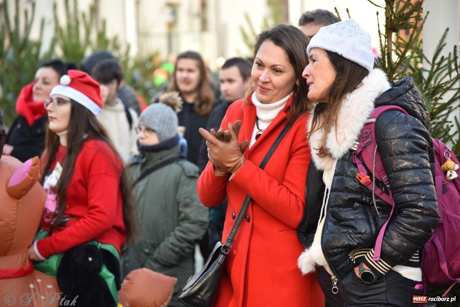 Zdjęcie w galerii na portalu naszraciborz.pl: Bajkowy Zamek Piastowski gościł Pociąg Świątecznych Marzeń [FOTO i WIDEO] wiadomości z regionu