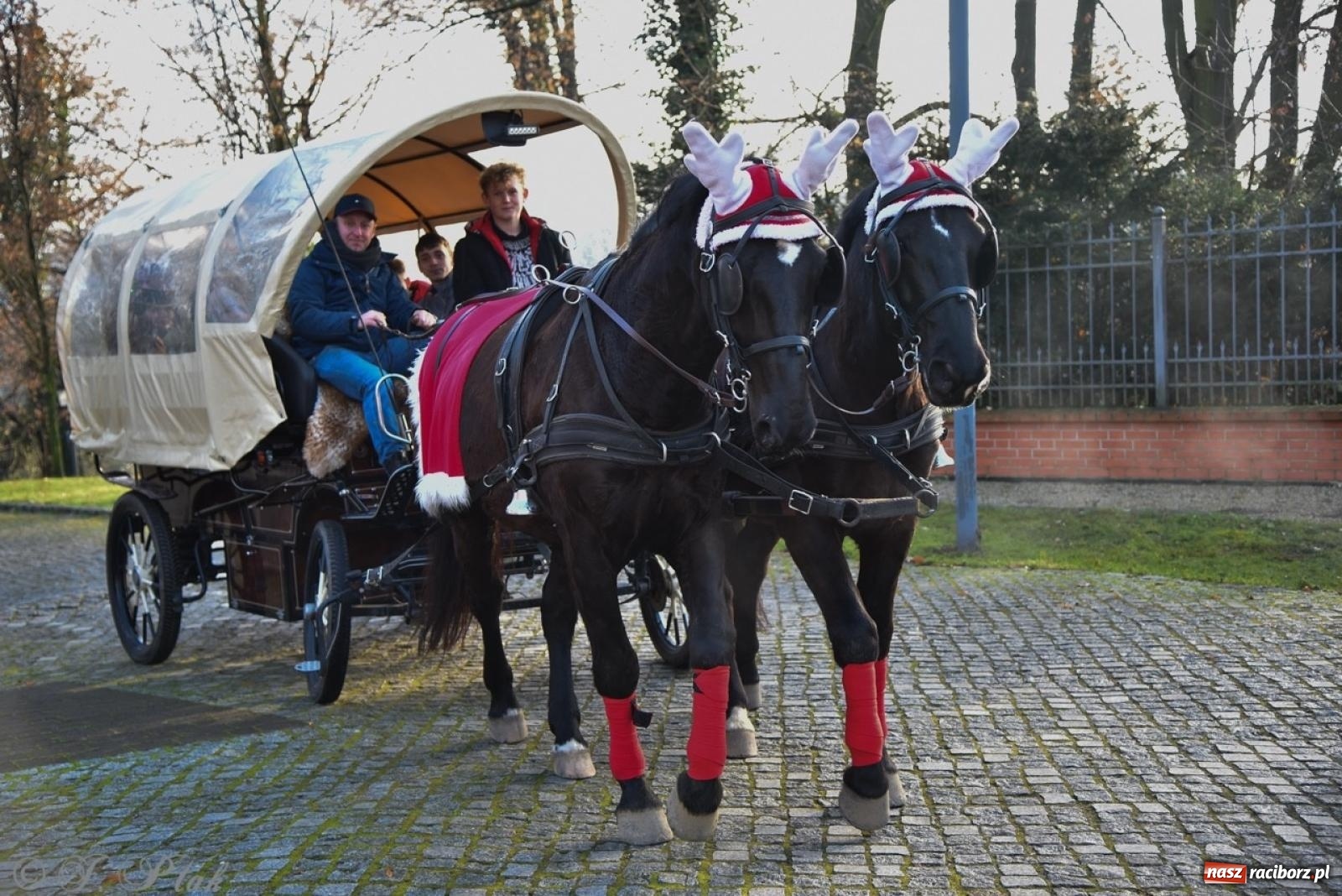 Zdjęcie w galerii na portalu naszraciborz.pl: Bajkowy Zamek Piastowski gościł Pociąg Świątecznych Marzeń [FOTO i WIDEO] wiadomości z regionu