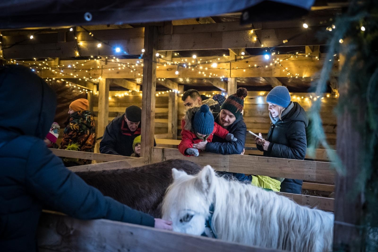 Zdjęcie w galerii na portalu naszraciborz.pl: Bajkowy zamek w świątecznej odsłonie. Sobota pełna magii, w niedzielę kolejne atrakcje [FOTO] wiadomości z regionu