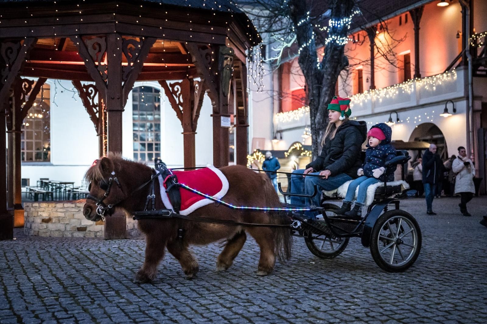 Zdjęcie w galerii na portalu naszraciborz.pl: Bajkowy zamek w świątecznej odsłonie. Sobota pełna magii, w niedzielę kolejne atrakcje [FOTO] wiadomości z regionu