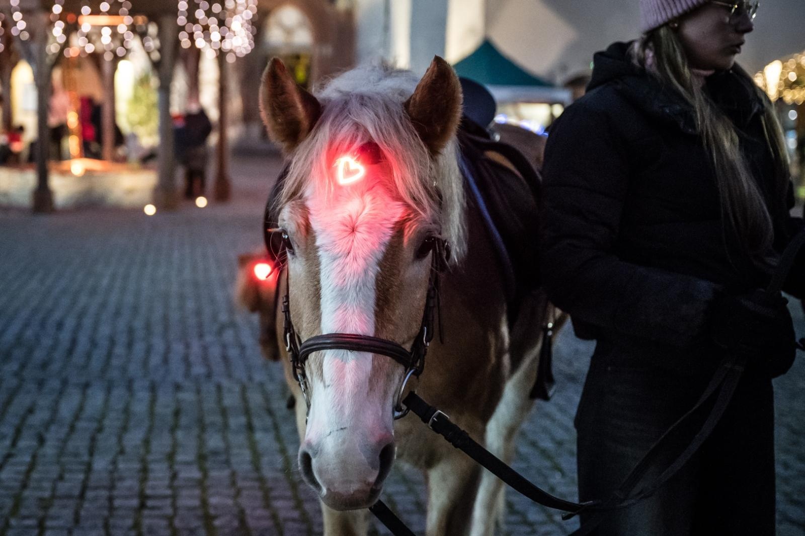 Zdjęcie w galerii na portalu naszraciborz.pl: Bajkowy zamek w świątecznej odsłonie. Sobota pełna magii, w niedzielę kolejne atrakcje [FOTO] wiadomości z regionu