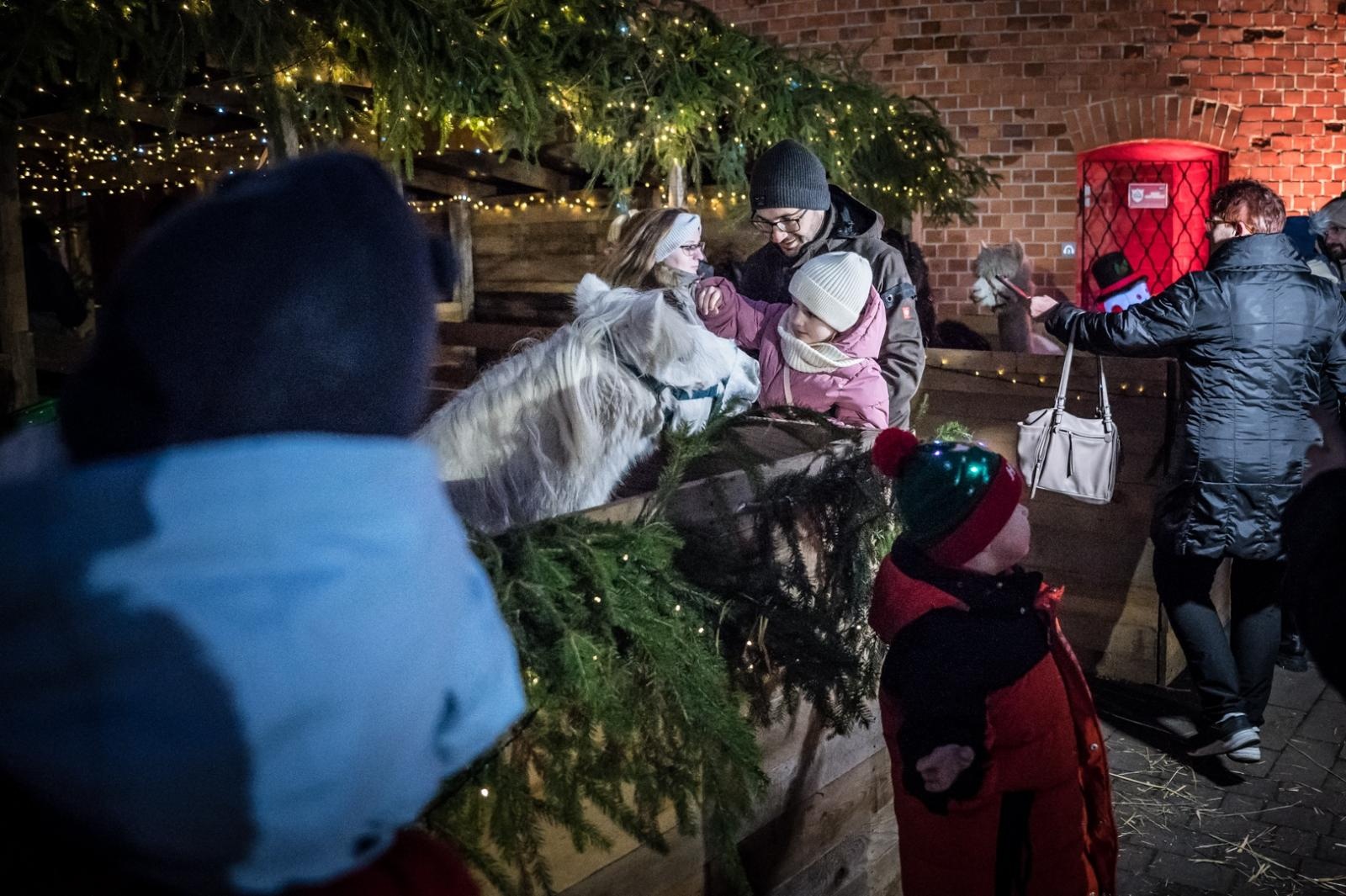 Zdjęcie w galerii na portalu naszraciborz.pl: Bajkowy zamek w świątecznej odsłonie. Sobota pełna magii, w niedzielę kolejne atrakcje [FOTO] wiadomości z regionu