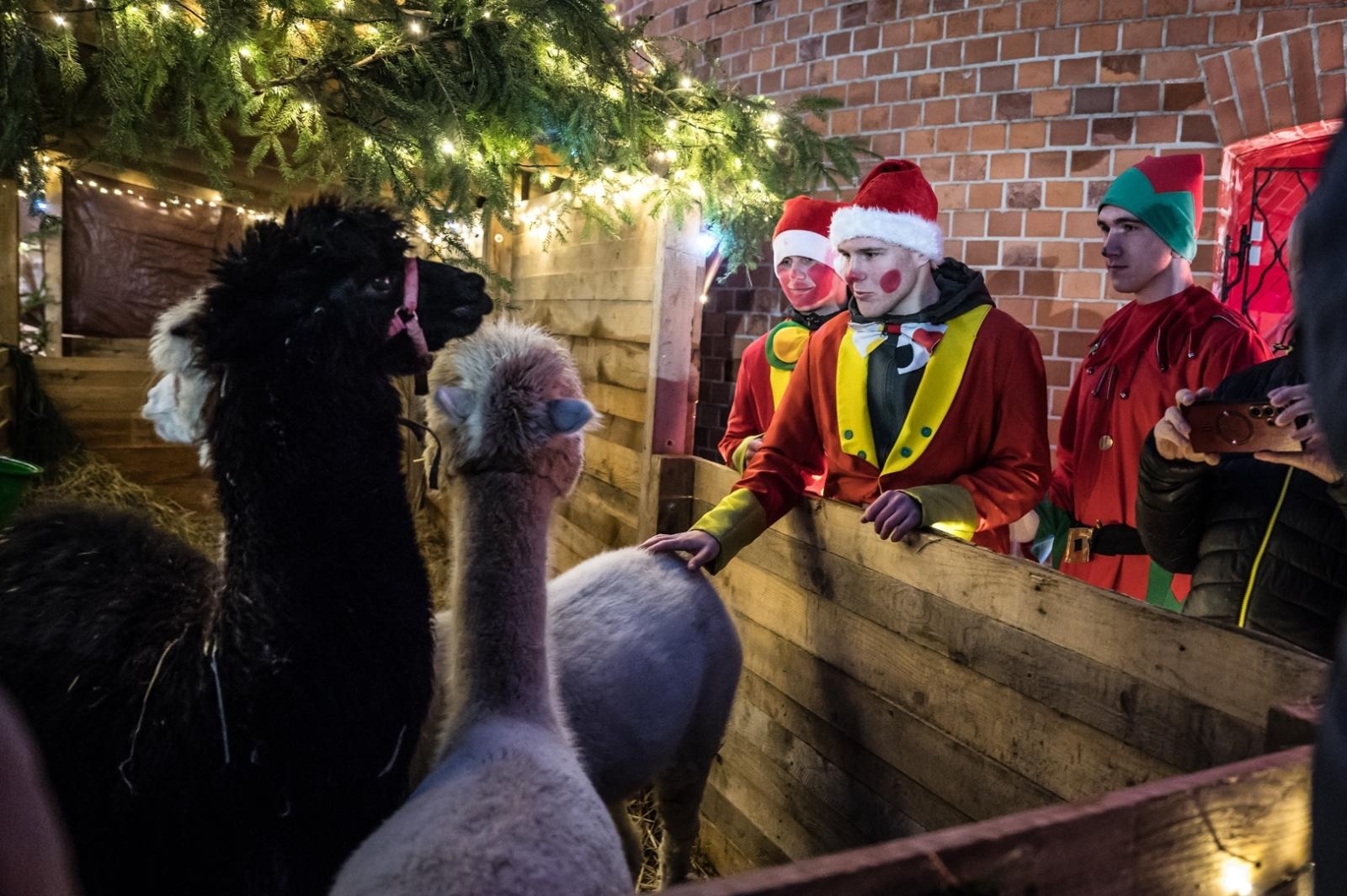 Zdjęcie w galerii na portalu naszraciborz.pl: Bajkowy zamek w świątecznej odsłonie. Sobota pełna magii, w niedzielę kolejne atrakcje [FOTO] wiadomości z regionu