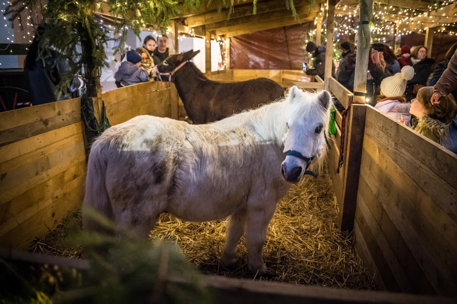 Zdjęcie w galerii na portalu naszraciborz.pl: Bajkowy zamek w świątecznej odsłonie. Sobota pełna magii, w niedzielę kolejne atrakcje [FOTO] wiadomości z regionu