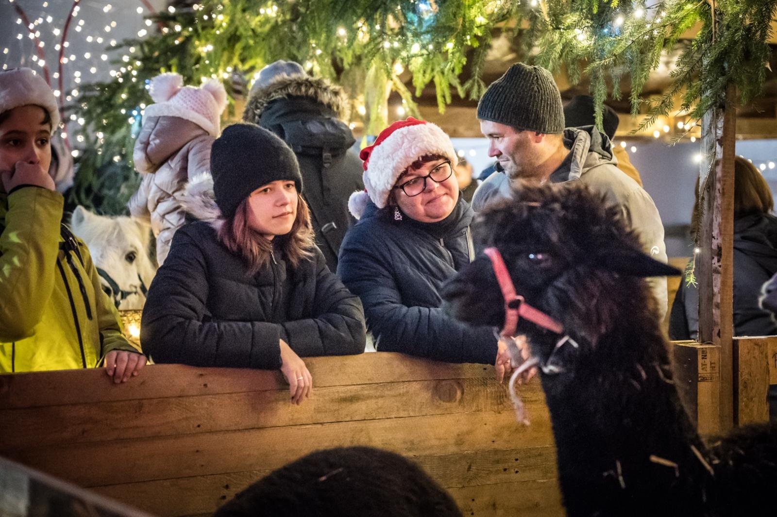 Zdjęcie w galerii na portalu naszraciborz.pl: Bajkowy zamek w świątecznej odsłonie. Sobota pełna magii, w niedzielę kolejne atrakcje [FOTO] wiadomości z regionu