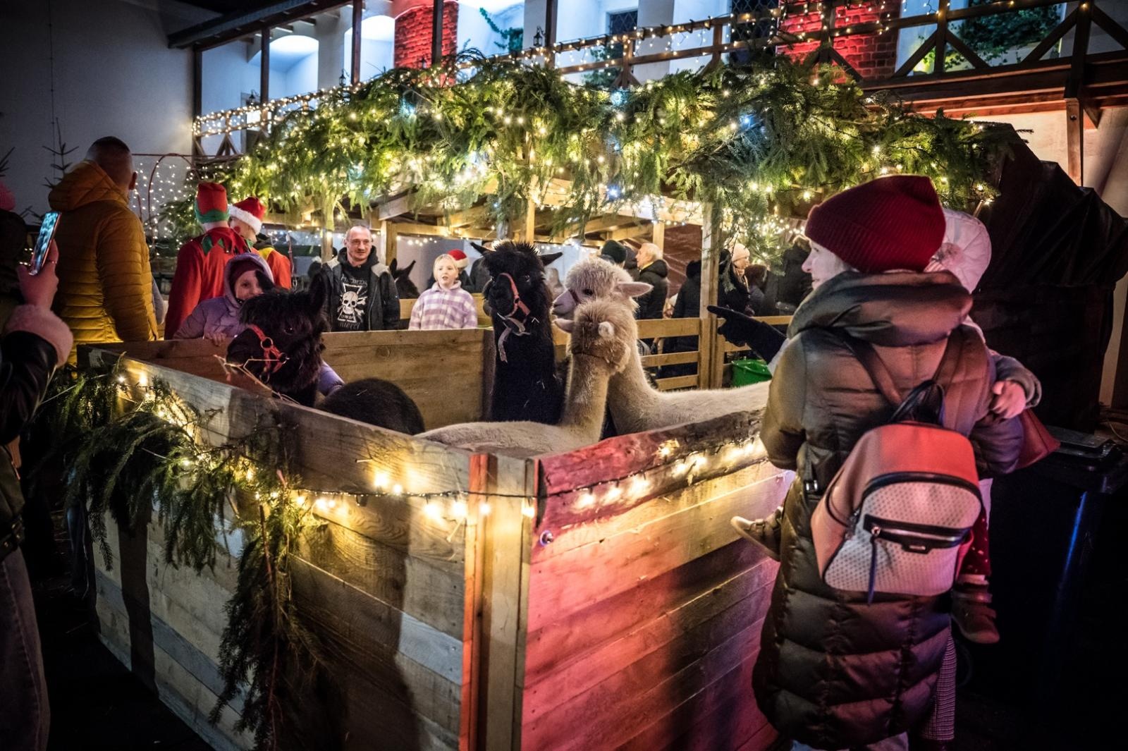 Zdjęcie w galerii na portalu naszraciborz.pl: Bajkowy zamek w świątecznej odsłonie. Sobota pełna magii, w niedzielę kolejne atrakcje [FOTO] wiadomości z regionu
