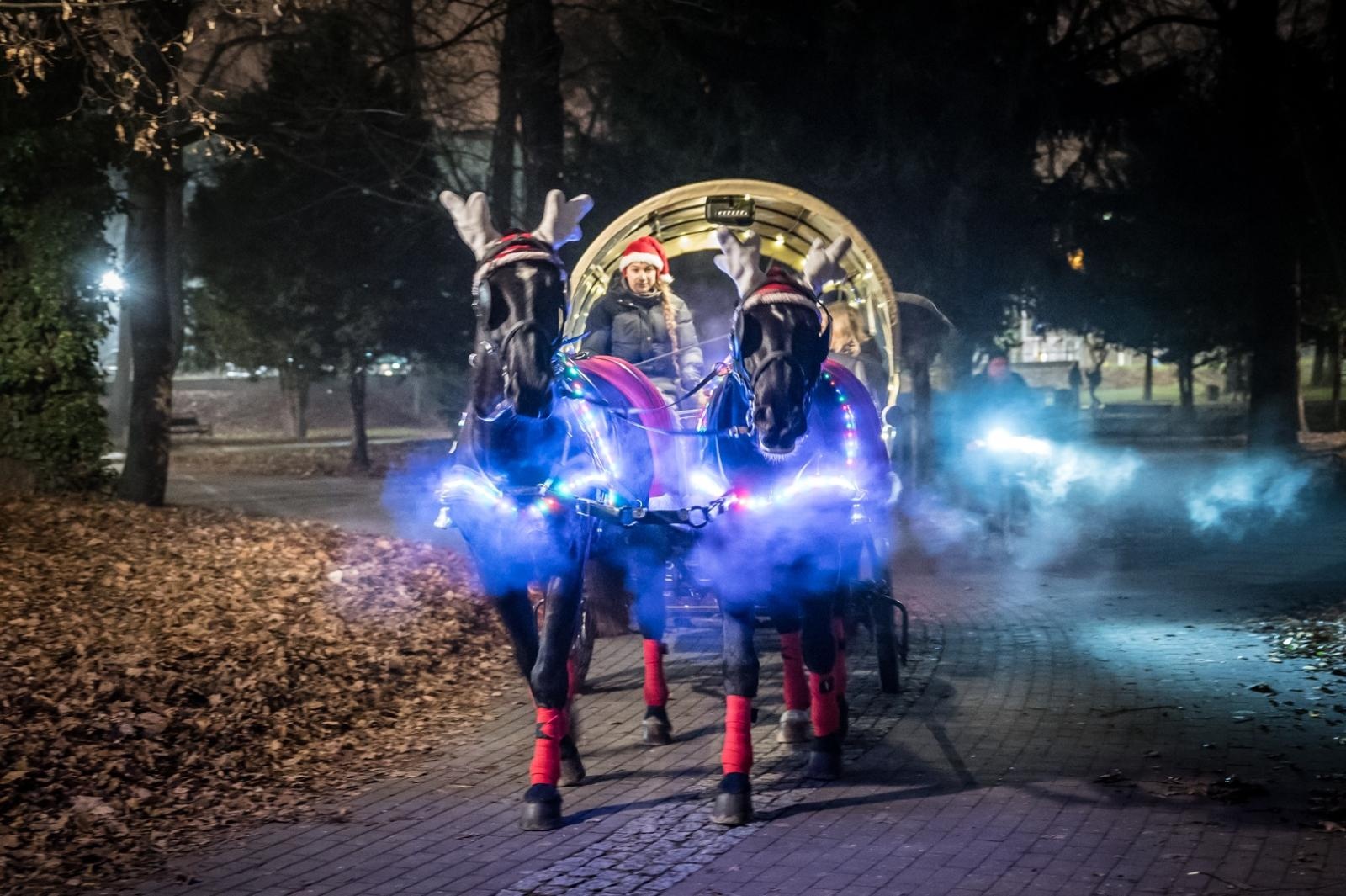 Zdjęcie w galerii na portalu naszraciborz.pl: Bajkowy zamek w świątecznej odsłonie. Sobota pełna magii, w niedzielę kolejne atrakcje [FOTO] wiadomości z regionu