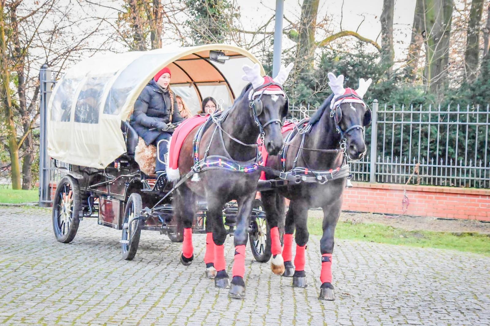 Zdjęcie w galerii na portalu naszraciborz.pl: Prawdziwe oblężenie Zamku Piastowskiego. Bajkowy Zamek 2025 zakończony z rozmachem [FOTO i WIDEO] wiadomości z regionu