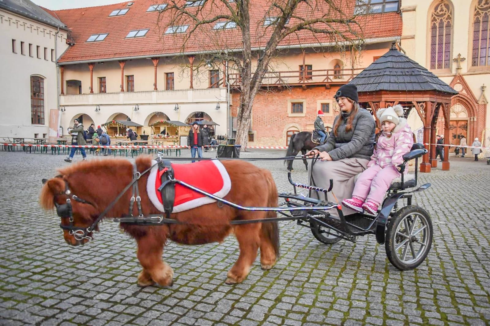 Zdjęcie w galerii na portalu naszraciborz.pl: Prawdziwe oblężenie Zamku Piastowskiego. Bajkowy Zamek 2025 zakończony z rozmachem [FOTO i WIDEO] wiadomości z regionu