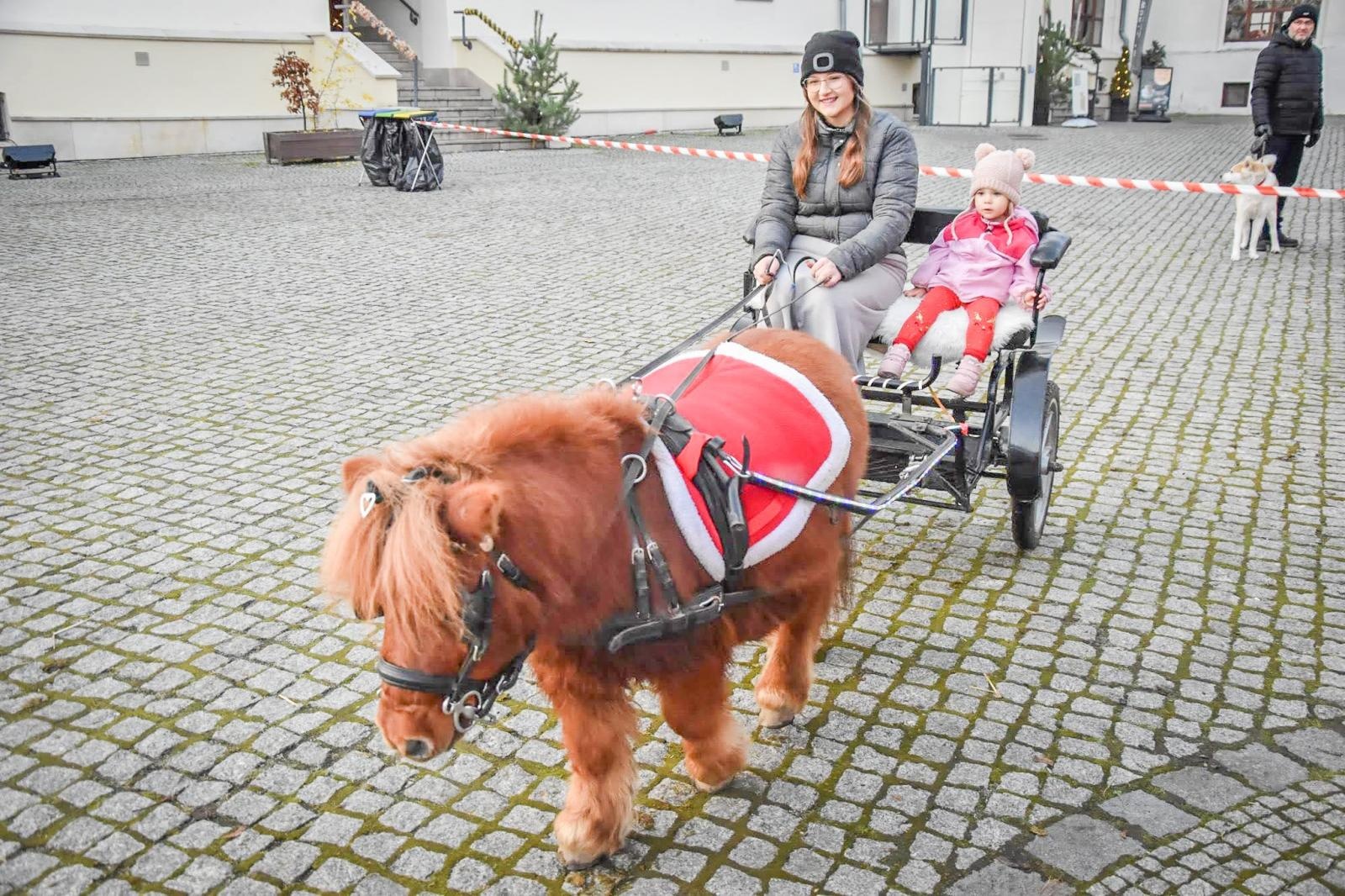 Zdjęcie w galerii na portalu naszraciborz.pl: Prawdziwe oblężenie Zamku Piastowskiego. Bajkowy Zamek 2025 zakończony z rozmachem [FOTO i WIDEO] wiadomości z regionu