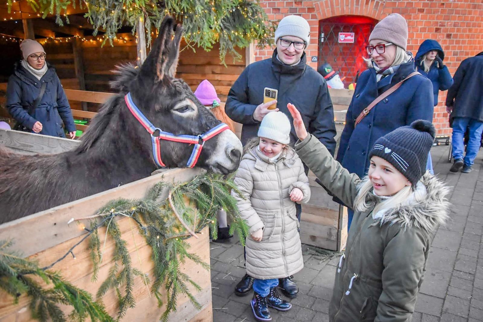 Zdjęcie w galerii na portalu naszraciborz.pl: Prawdziwe oblężenie Zamku Piastowskiego. Bajkowy Zamek 2025 zakończony z rozmachem [FOTO i WIDEO] wiadomości z regionu