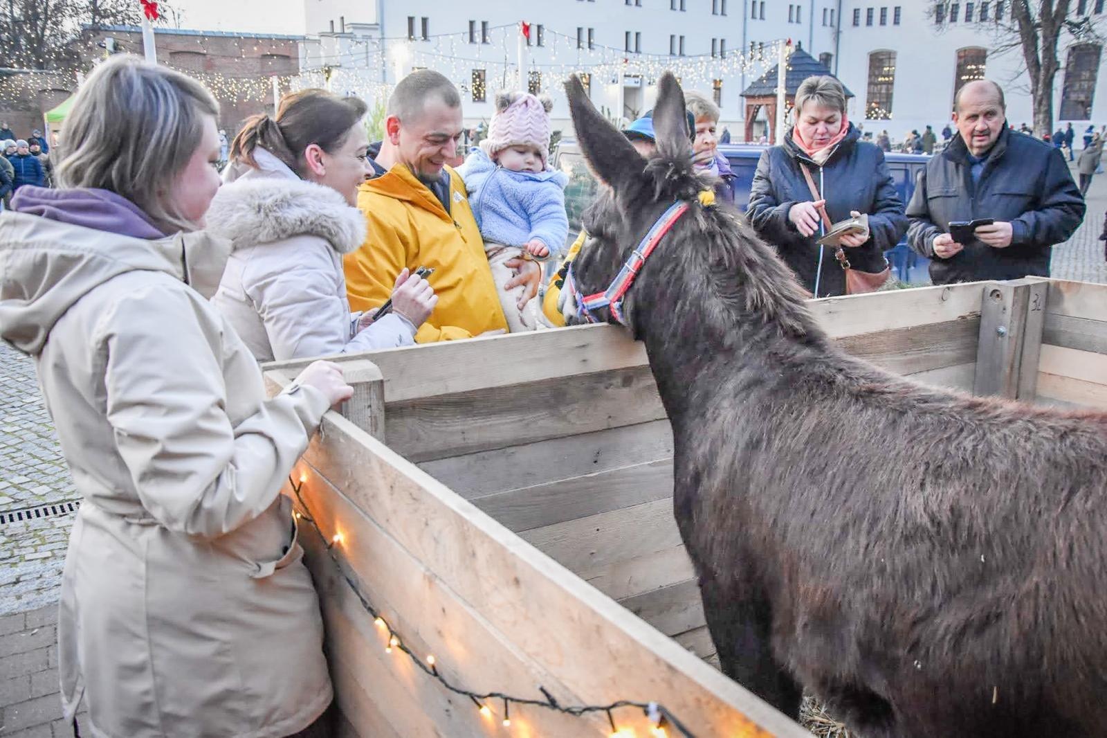 Zdjęcie w galerii na portalu naszraciborz.pl: Prawdziwe oblężenie Zamku Piastowskiego. Bajkowy Zamek 2025 zakończony z rozmachem [FOTO i WIDEO] wiadomości z regionu