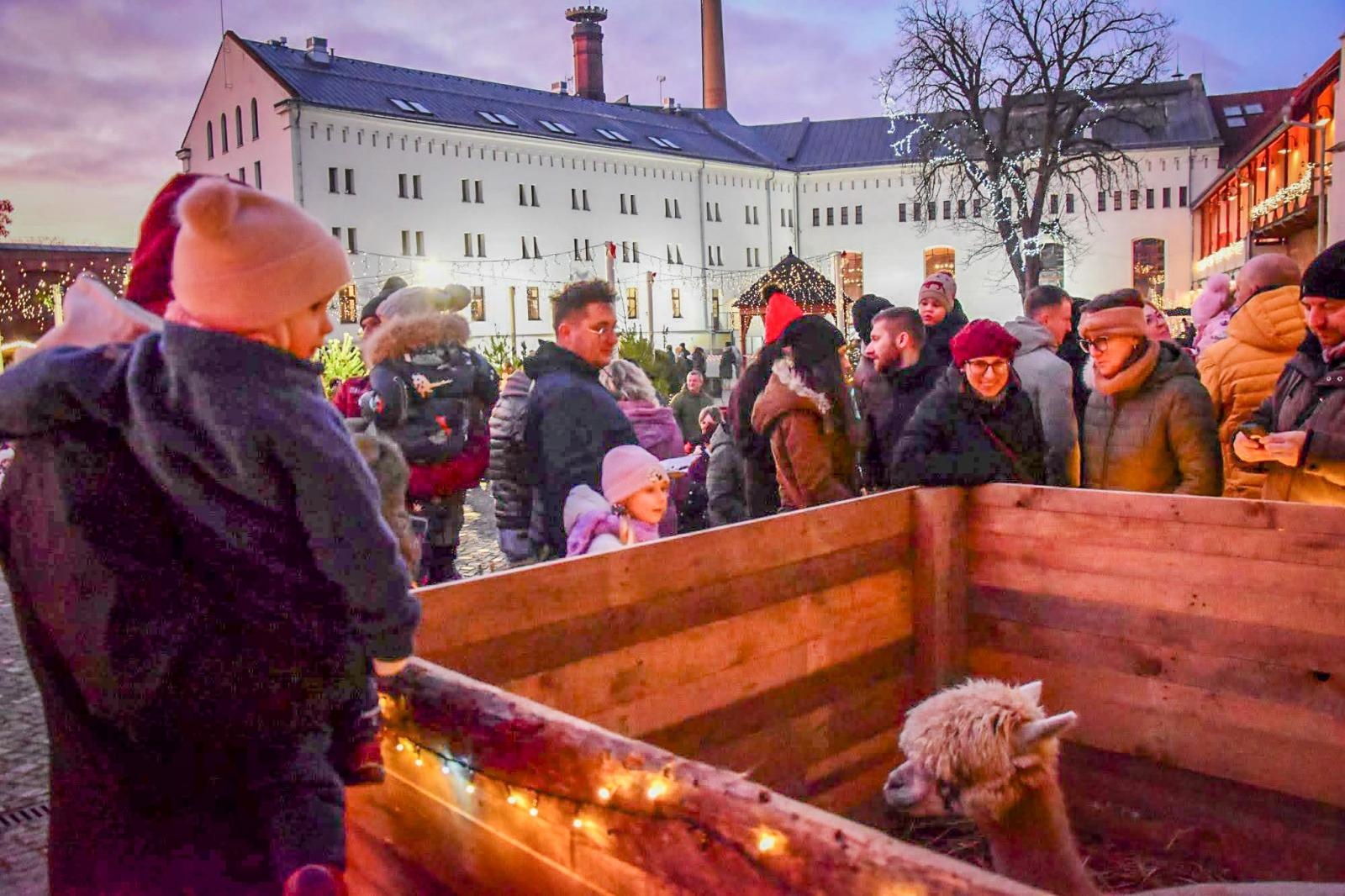 Zdjęcie w galerii na portalu naszraciborz.pl: Prawdziwe oblężenie Zamku Piastowskiego. Bajkowy Zamek 2025 zakończony z rozmachem [FOTO i WIDEO] wiadomości z regionu