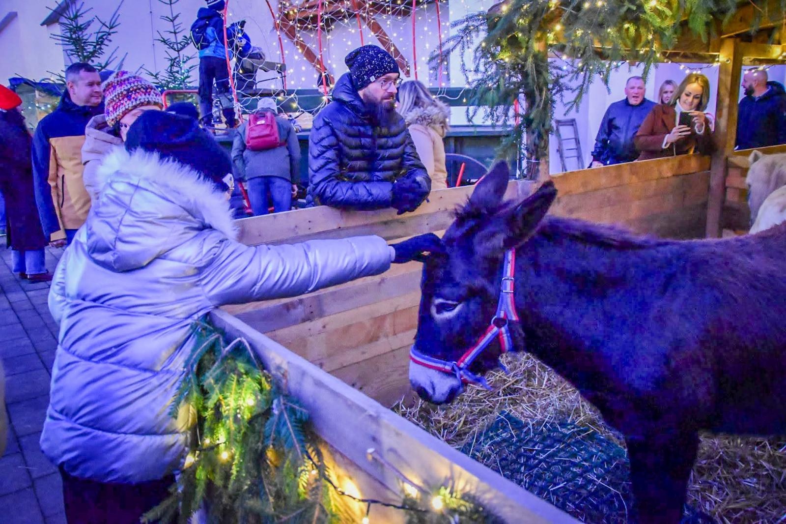Zdjęcie w galerii na portalu naszraciborz.pl: Prawdziwe oblężenie Zamku Piastowskiego. Bajkowy Zamek 2025 zakończony z rozmachem [FOTO i WIDEO] wiadomości z regionu