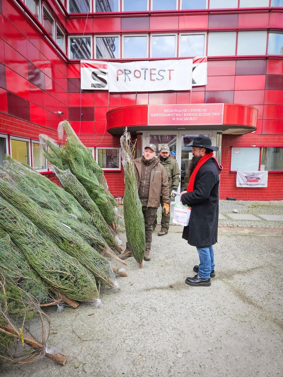 Zdjęcie w galerii na portalu naszraciborz.pl: Choinka dla życia także w Raciborzu. Duże zainteresowanie akcją honorowego krwiodawstwa [FOTO i WIDEO] wiadomości z regionu