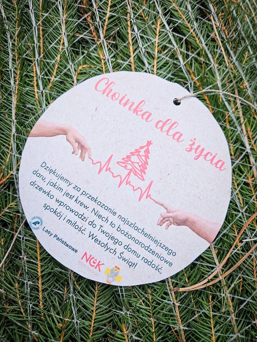 Zdjęcie w galerii na portalu naszraciborz.pl: Choinka dla życia także w Raciborzu. Duże zainteresowanie akcją honorowego krwiodawstwa [FOTO i WIDEO] wiadomości z regionu