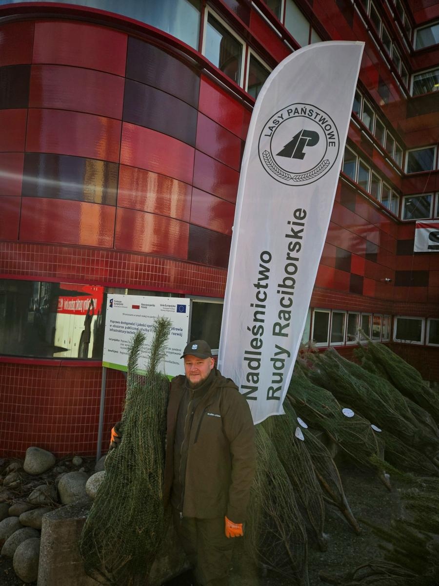 Zdjęcie w galerii na portalu naszraciborz.pl: Choinka dla życia także w Raciborzu. Duże zainteresowanie akcją honorowego krwiodawstwa [FOTO i WIDEO] wiadomości z regionu