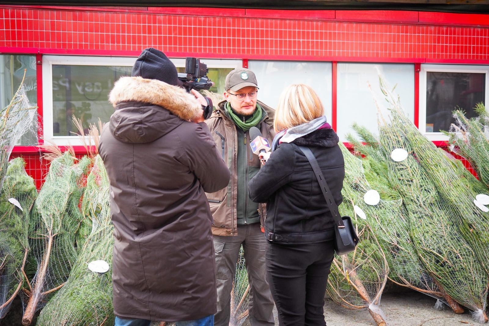Zdjęcie w galerii na portalu naszraciborz.pl: Choinka dla życia także w Raciborzu. Duże zainteresowanie akcją honorowego krwiodawstwa [FOTO i WIDEO] wiadomości z regionu