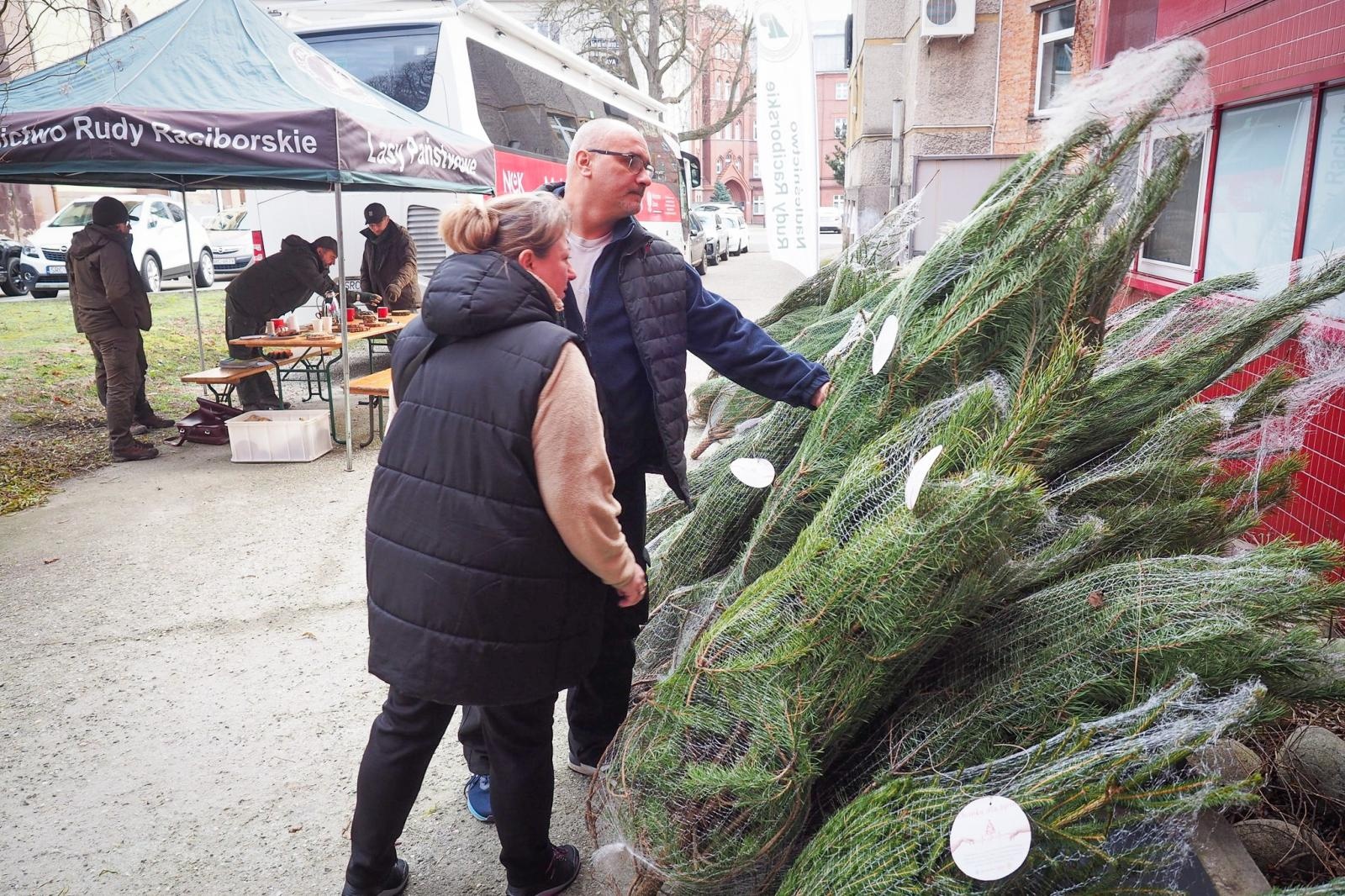 Zdjęcie w galerii na portalu naszraciborz.pl: Choinka dla życia także w Raciborzu. Duże zainteresowanie akcją honorowego krwiodawstwa [FOTO i WIDEO] wiadomości z regionu