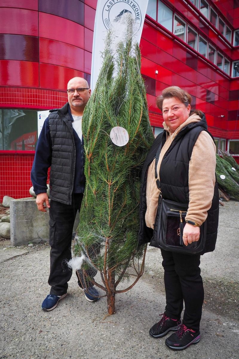 Zdjęcie w galerii na portalu naszraciborz.pl: Choinka dla życia także w Raciborzu. Duże zainteresowanie akcją honorowego krwiodawstwa [FOTO i WIDEO] wiadomości z regionu