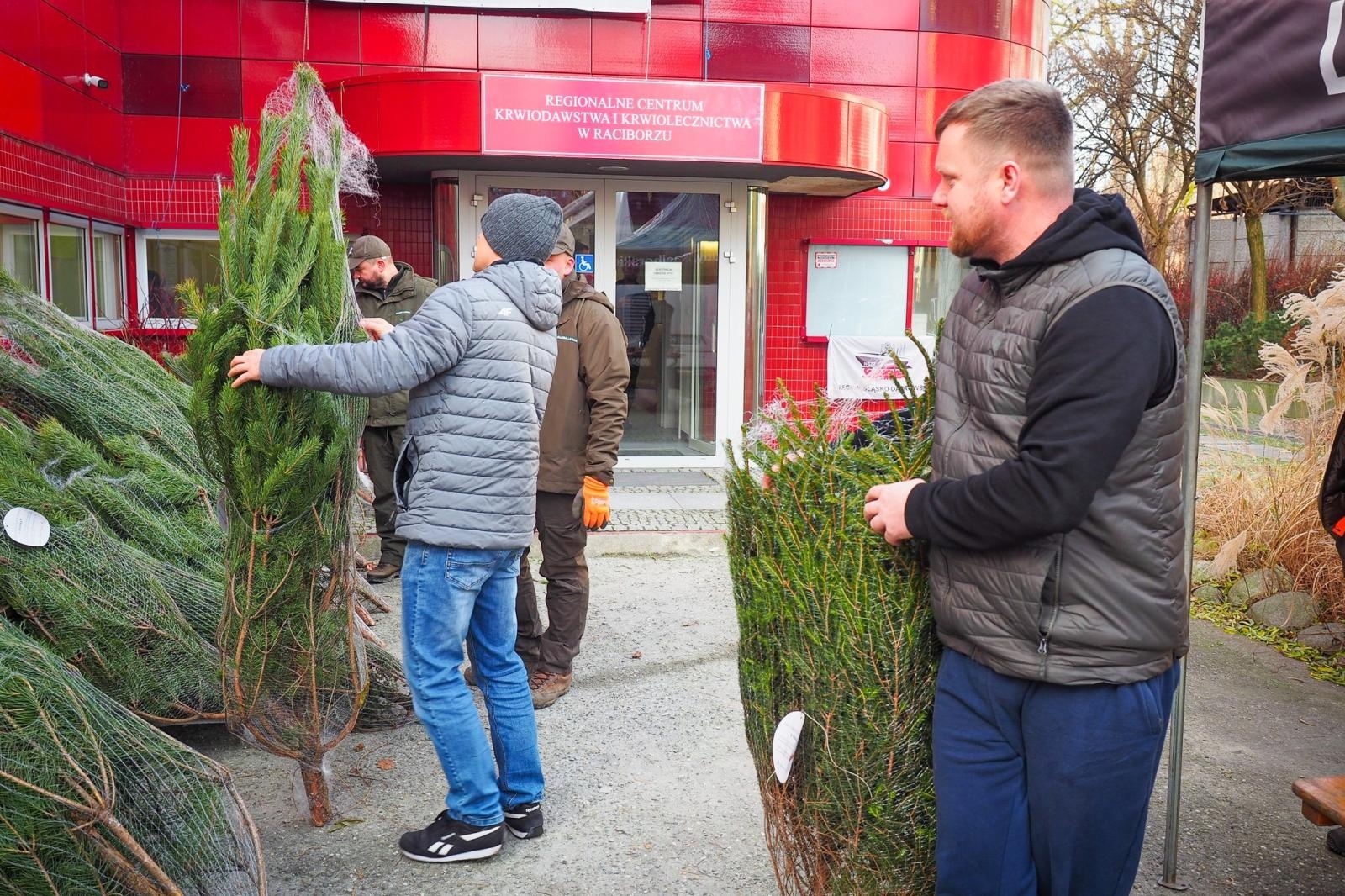 Zdjęcie w galerii na portalu naszraciborz.pl: Choinka dla życia także w Raciborzu. Duże zainteresowanie akcją honorowego krwiodawstwa [FOTO i WIDEO] wiadomości z regionu