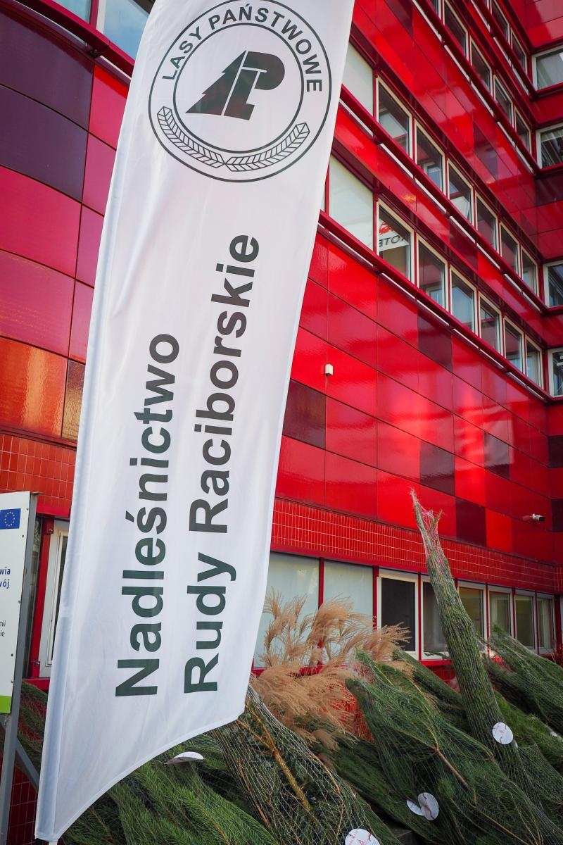 Zdjęcie w galerii na portalu naszraciborz.pl: Choinka dla życia także w Raciborzu. Duże zainteresowanie akcją honorowego krwiodawstwa [FOTO i WIDEO] wiadomości z regionu