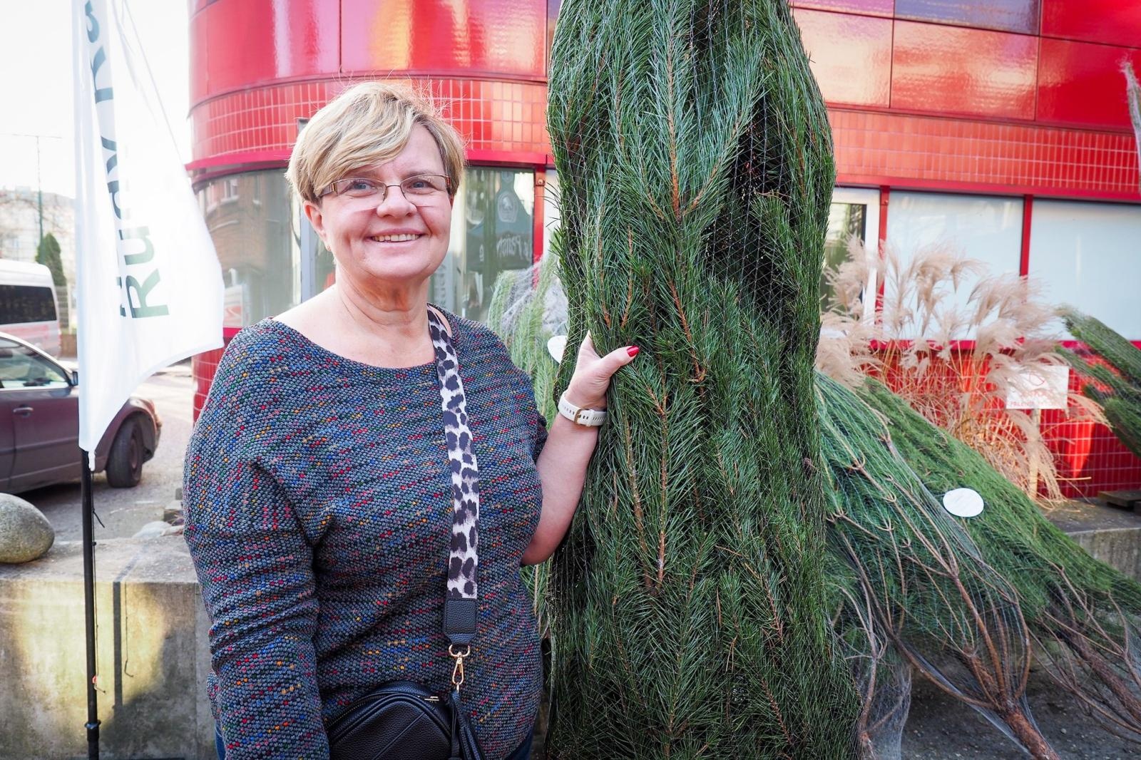Zdjęcie w galerii na portalu naszraciborz.pl: Choinka dla życia także w Raciborzu. Duże zainteresowanie akcją honorowego krwiodawstwa [FOTO i WIDEO] wiadomości z regionu