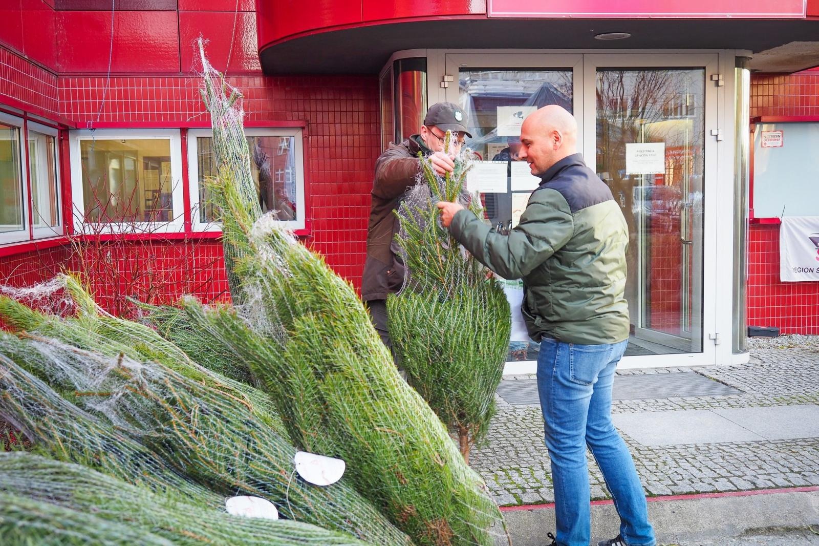Zdjęcie w galerii na portalu naszraciborz.pl: Choinka dla życia także w Raciborzu. Duże zainteresowanie akcją honorowego krwiodawstwa [FOTO i WIDEO] wiadomości z regionu
