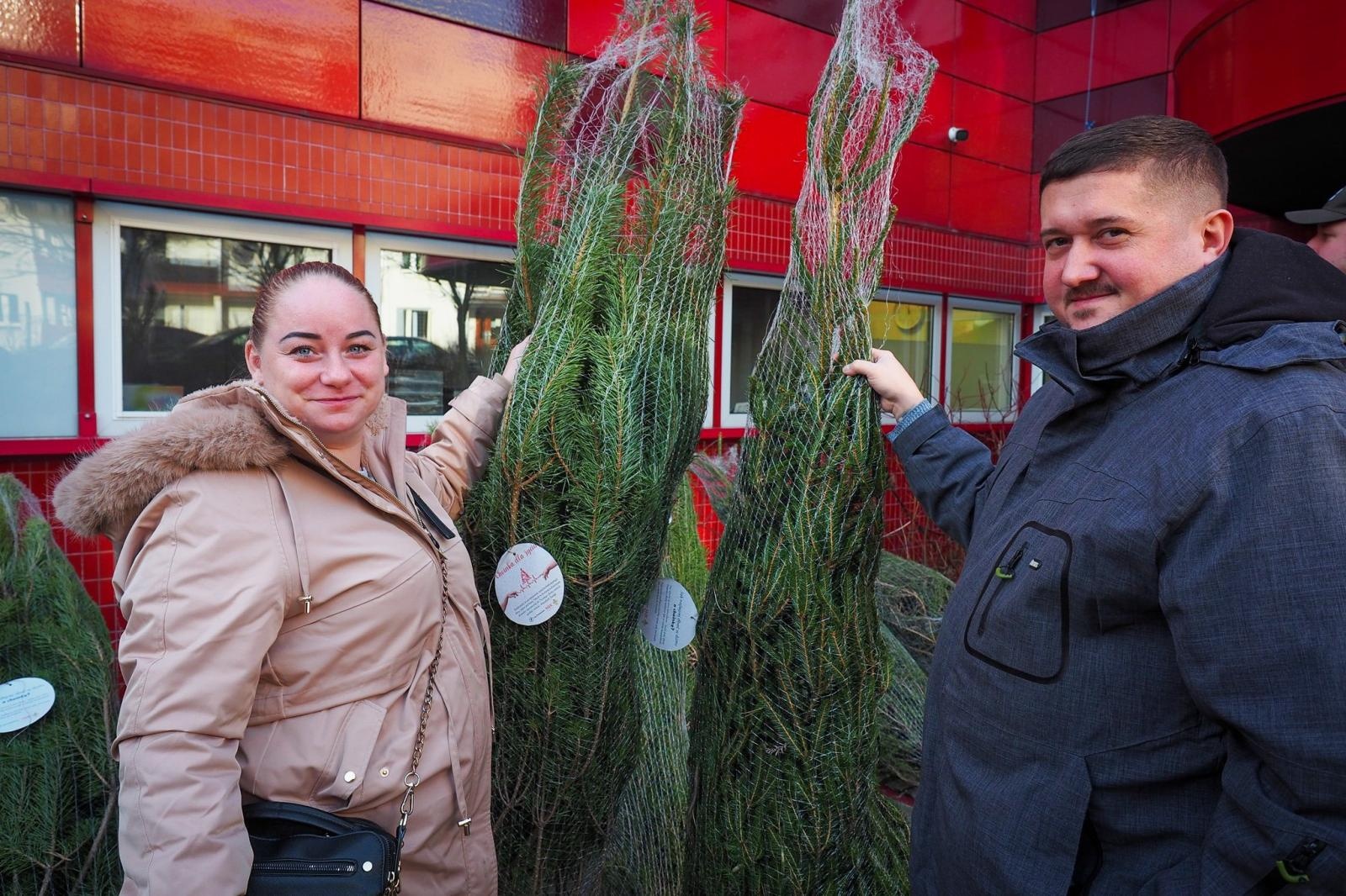 Zdjęcie w galerii na portalu naszraciborz.pl: Choinka dla życia także w Raciborzu. Duże zainteresowanie akcją honorowego krwiodawstwa [FOTO i WIDEO] wiadomości z regionu