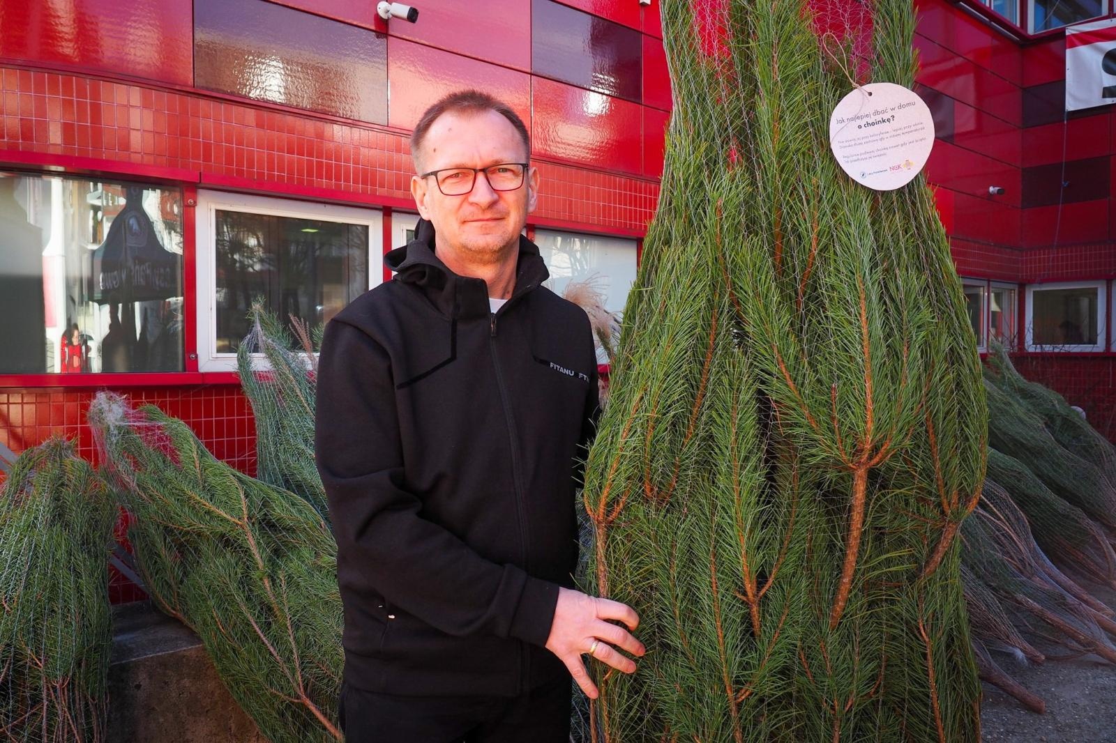 Zdjęcie w galerii na portalu naszraciborz.pl: Choinka dla życia także w Raciborzu. Duże zainteresowanie akcją honorowego krwiodawstwa [FOTO i WIDEO] wiadomości z regionu