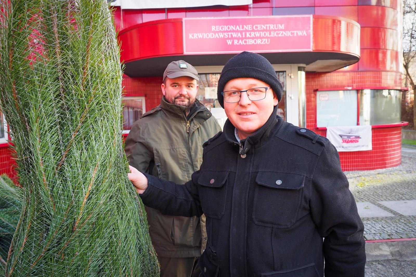 Zdjęcie w galerii na portalu naszraciborz.pl: Choinka dla życia także w Raciborzu. Duże zainteresowanie akcją honorowego krwiodawstwa [FOTO i WIDEO] wiadomości z regionu