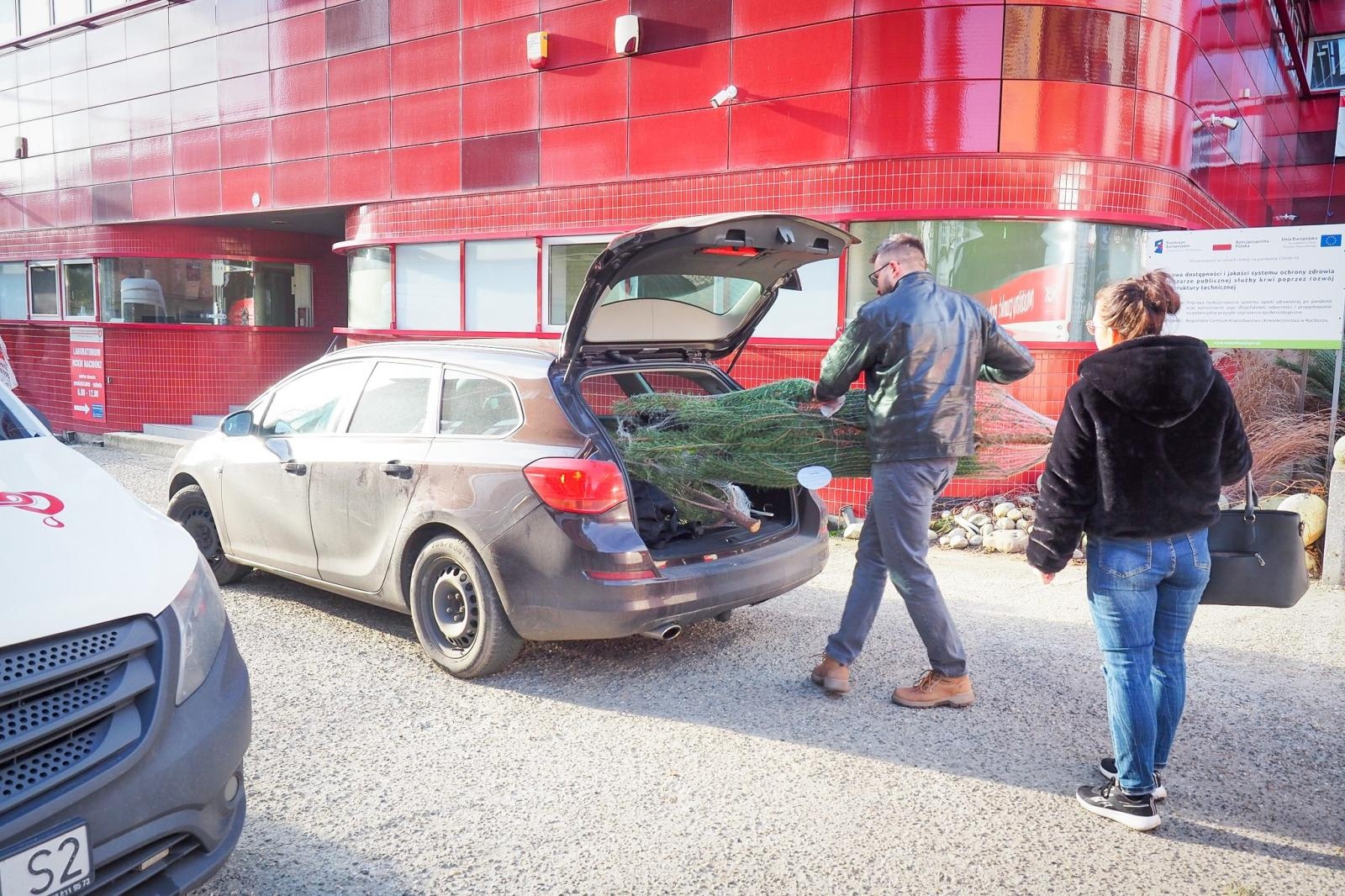 Zdjęcie w galerii na portalu naszraciborz.pl: Choinka dla życia także w Raciborzu. Duże zainteresowanie akcją honorowego krwiodawstwa [FOTO i WIDEO] wiadomości z regionu