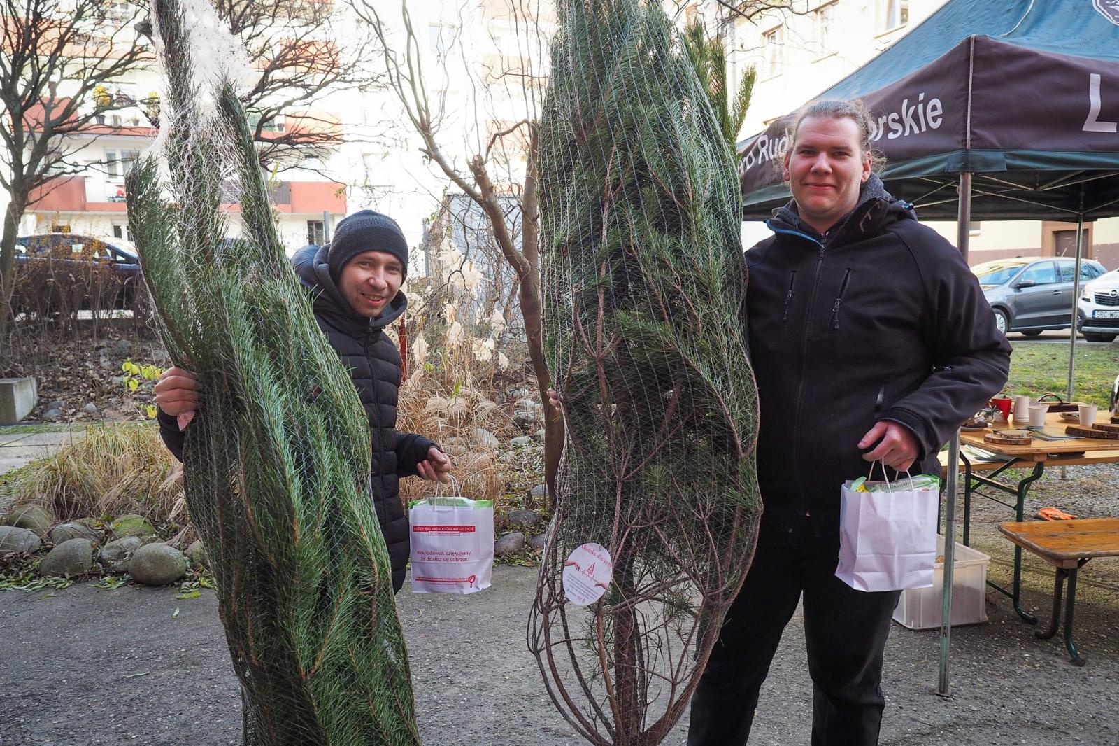 Zdjęcie w galerii na portalu naszraciborz.pl: Choinka dla życia także w Raciborzu. Duże zainteresowanie akcją honorowego krwiodawstwa [FOTO i WIDEO] wiadomości z regionu