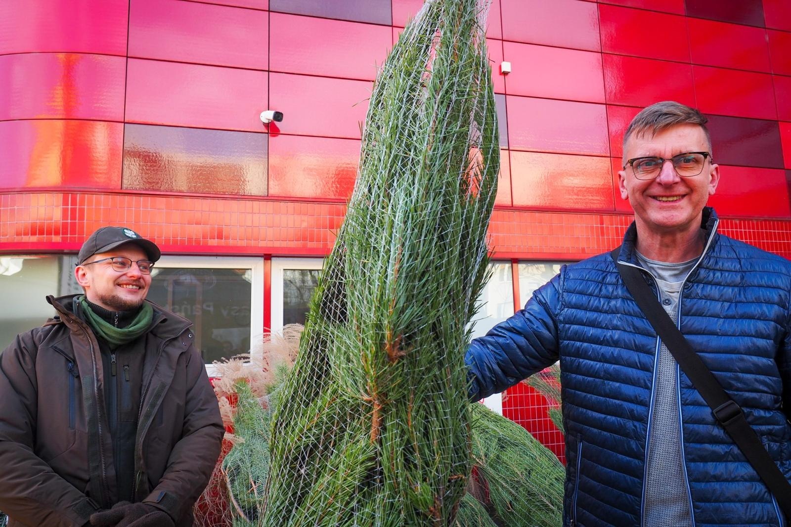 Zdjęcie w galerii na portalu naszraciborz.pl: Choinka dla życia także w Raciborzu. Duże zainteresowanie akcją honorowego krwiodawstwa [FOTO i WIDEO] wiadomości z regionu