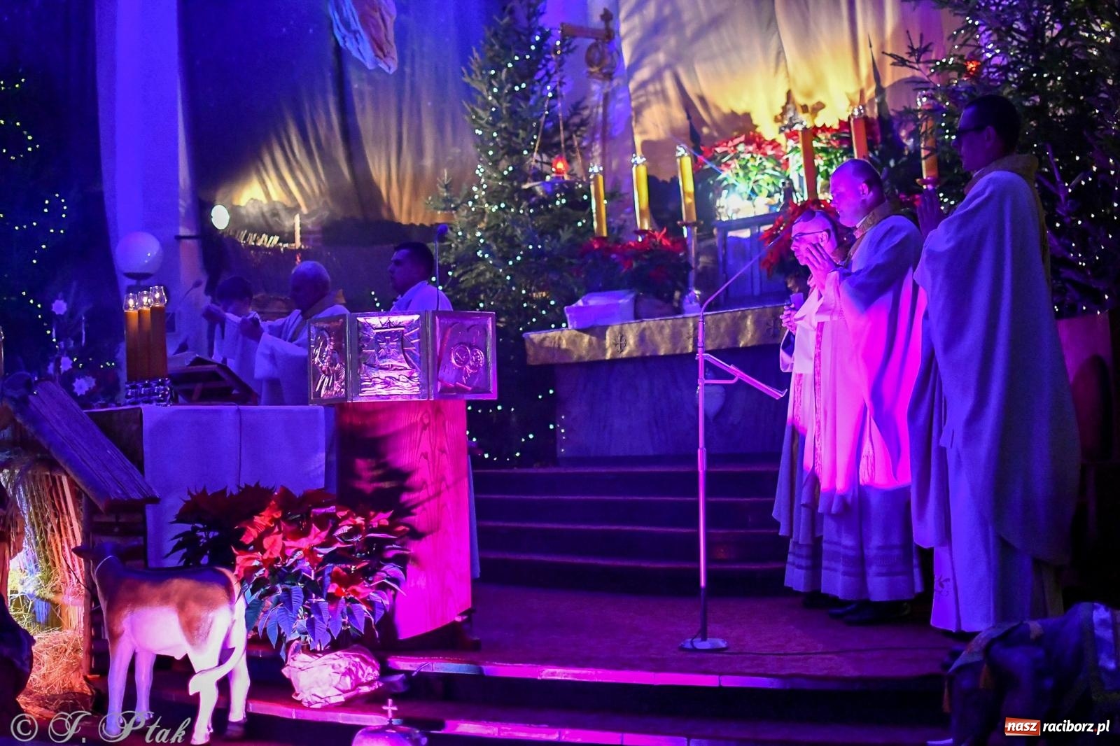 Zdjęcie w galerii na portalu naszraciborz.pl: Cicha noc rozbrzmiała w raciborskich świątyniach. Boże Narodzenie jako święto wiary i bliskości [FOTO i WIDEO] wiadomości z regionu