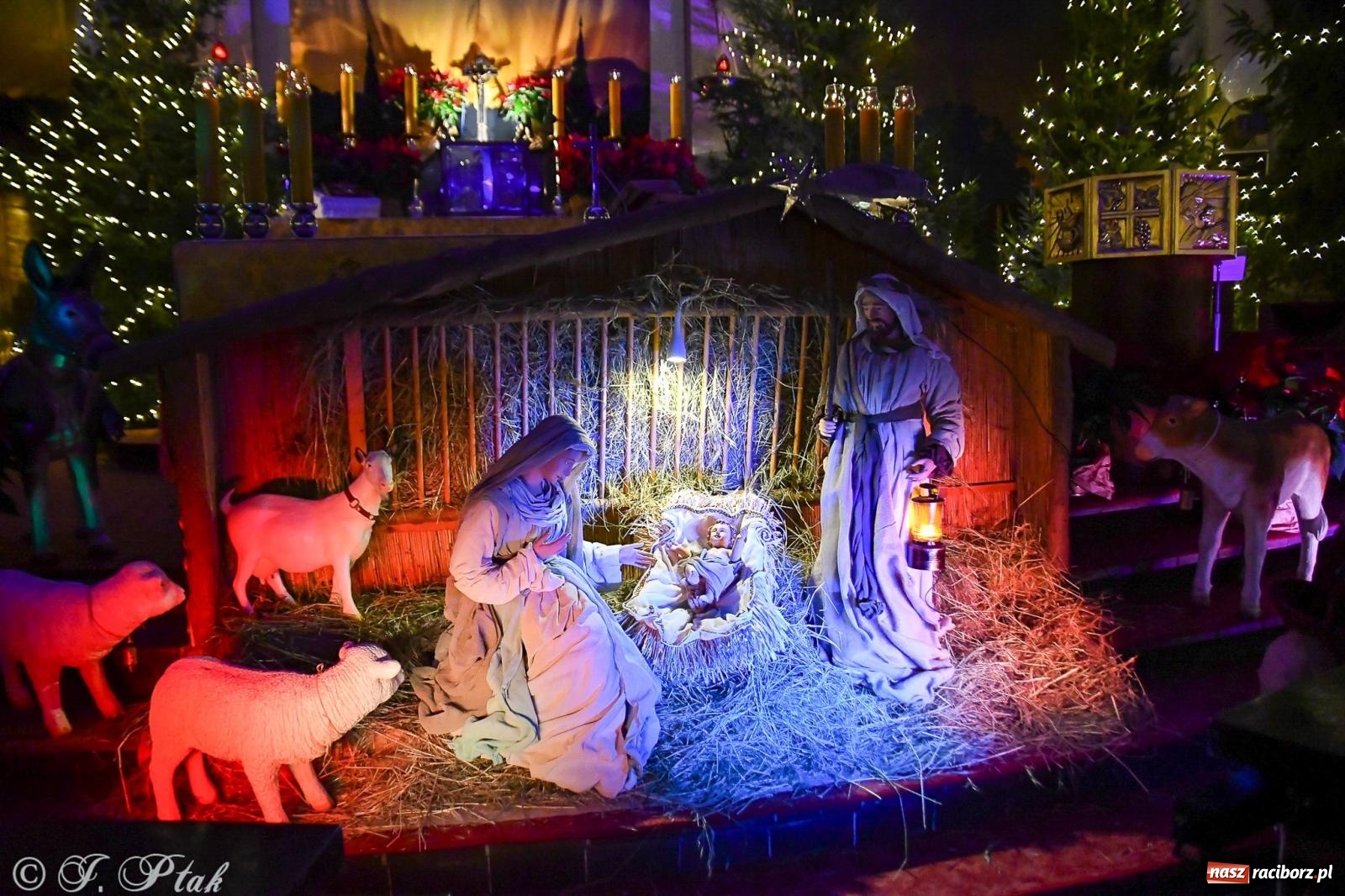 Zdjęcie w galerii na portalu naszraciborz.pl: Cicha noc rozbrzmiała w raciborskich świątyniach. Boże Narodzenie jako święto wiary i bliskości [FOTO i WIDEO] wiadomości z regionu